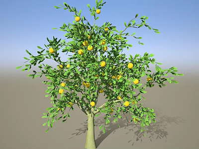 Healthy Citrus Tree With Abundant Ripe Yellow Fruits And Lush Green Leaves 3d model