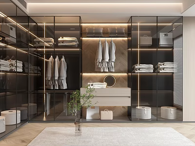 Modern Wardrobe Interior Design With Glass Doors Lighting And Hanging Clothes Storage 3d model