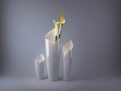 Modern Vase 3d model