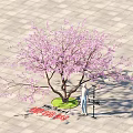 Cherry Blossom Arbor with Pink Flowers and Circular Green Area on Stone Paved Ground