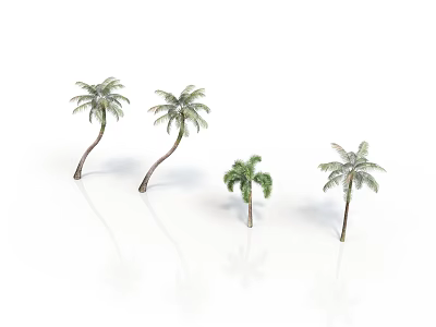 Four Palm Trees Of Various Sizes Against White Background 3d model
