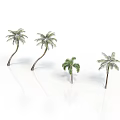 Four Palm Trees Of Various Sizes Against White Background