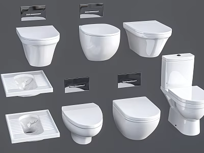 Modern Wall Hung And Floor Standing Toilet Designs With Flush Plates And Seats 3d model