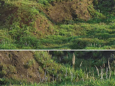 Natural Garden Landscape With Lush Green Hillside Grass And Wild Herbs 3d model