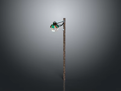 Wooden Street Light Pole With Green Black Shade And White Light Fixture 3d model