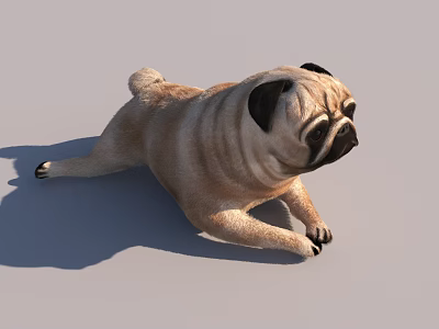 Active Reptile Gecko Crawling On Wooden Branch In Terrarium Setup 3d model