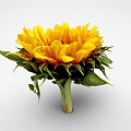 Beautiful Sunflower With Bright Yellow Petals Dark Center Green Leaves And Fresh Stem
