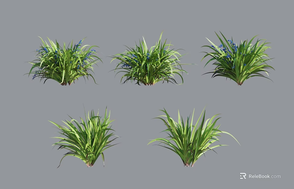 Multiple Green Grass Like Plants Featuring Blue Flowers For Garden Decoration 3d model