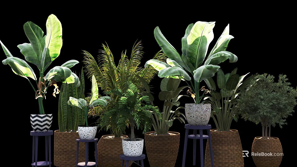 Various Potted Houseplants With Large Leaves And Woven Patterned Planters On Small Stools 3d model 