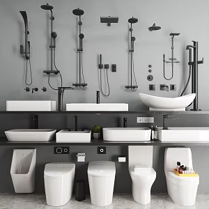 Modern toilet basin shower combination 3d model