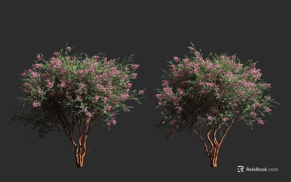 Lush Trees With Pink Flowers And Brown Trunks In Natural Setting 3d model 