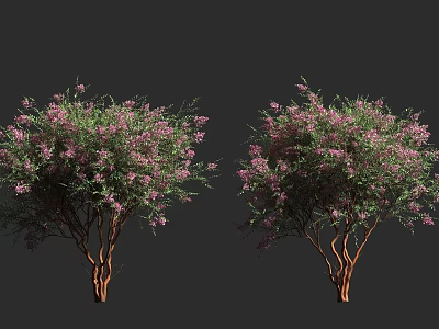 Lush Trees With Pink Flowers And Brown Trunks In Natural Setting 3d model