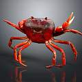 Red Crab With Extended Legs Large Claws And Shiny Body On Dark Background