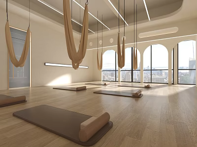 Spacious Aerial Yoga Fitness Studio With Hammocks Mats And Natural Light Through Large Windows 3d model
