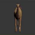 Detailed Cartoon Style 3D Camel Model With Saddle And Realistic Rendering 3d model