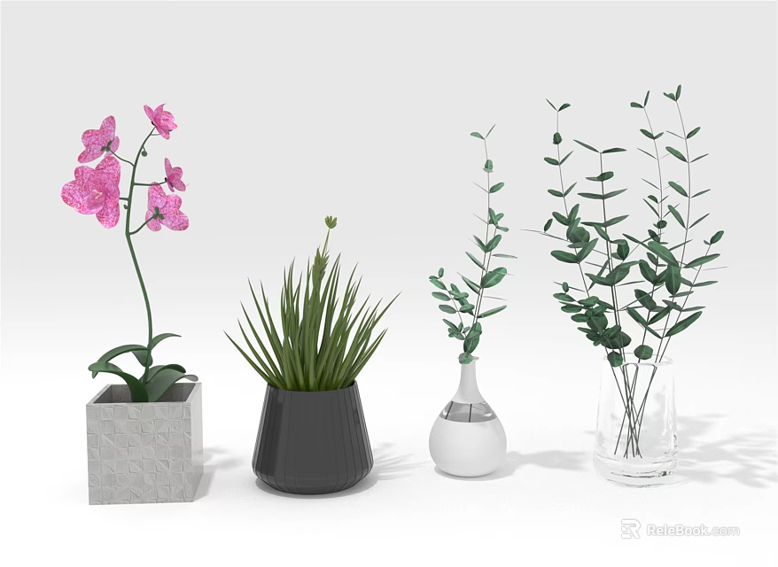 Different Potted Plants Including Pink Orchid Green Succulent And Leafy Plants In Varied Vases 3d model 