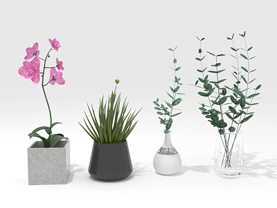 Different Potted Plants Including Pink Orchid Green Succulent And Leafy Plants In Varied Vases 3d model