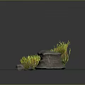 Natural Wood and Stone Decorative Display With Green Yellow Plants and Gray Backdrop