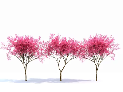 Modern Cherry Tree 3d model