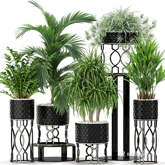 Various Green Potted Plants With Black Textured Pots On Ornate Metal Stands 3d model 