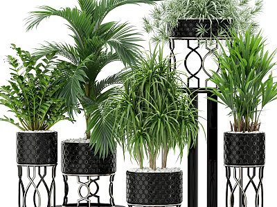 Various Green Potted Plants With Black Textured Pots On Ornate Metal Stands 3d model