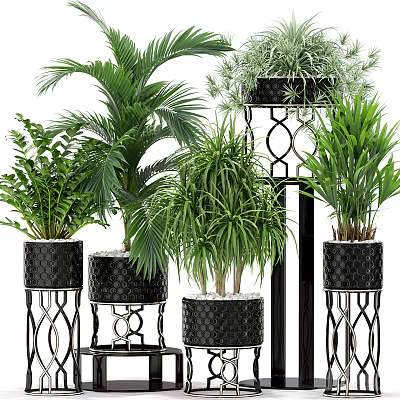 Various Green Potted Plants With Black Textured Pots On Ornate Metal Stands 3d model