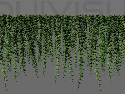 Lush Green Hanging Vines With Cascading Leaves For Natural Decorative Design 3d model