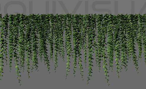 Modern vine hanging plant 3d model