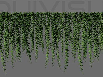 Modern vine hanging plant 3d model