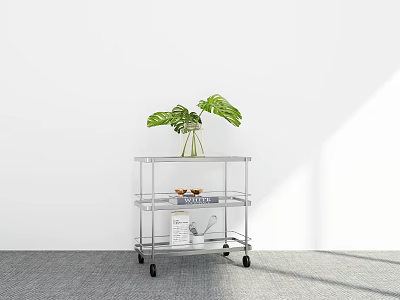 Metal Rolling Cart With Monstera Plant Magazines And Small Bowls 3d model
