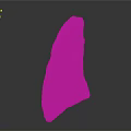Purple Pink Dinosaur Fossil Bone Exhibiting Cracked Surface Texture Details