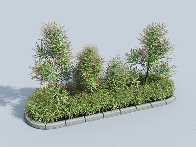 Shrubs of Various Heights in Stone Edged Rectangular Planter with Lush Green Foliage 3d model