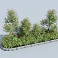 Shrubs of Various Heights in Stone Edged Rectangular Planter with Lush Green Foliage