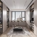 Modern Walk in Closet Interior With Glass Cabinets Mirror and Ottoman Rug
