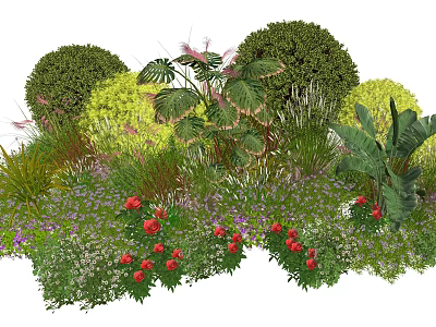 Mixed Plant Combination with Round Shrubs Large Leaf Plants Red Flowers and Purple Small Flowers 3d model