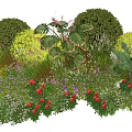 Mixed Plant Combination with Round Shrubs Large Leaf Plants Red Flowers and Purple Small Flowers