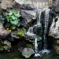 Scenic Garden Landscape Featuring Rockery Waterfall Green Plants And Pond