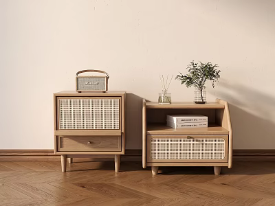 Wooden Bedside Tables With Rattan Panels Drawers Radio Books And Green Plant 3d model