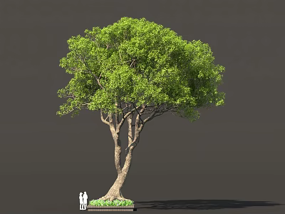 Lush Green Arbor with Dense Foliage Brown Trunk Ground Vegetation and Human Figures for Scale 3d model