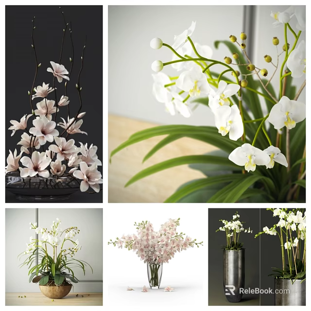 Beautiful Flowers and Blossoms with White Pink Petals Green Leaves in Vases 3d model 