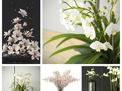 Beautiful Flowers and Blossoms with White Pink Petals Green Leaves in Vases 3d model