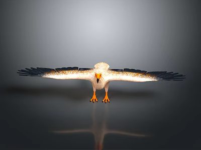 Eagle With Spread Wings White Black Feathers Yellow Beak And Talons On Gray Background 3d model