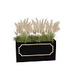 Plant Combination In Black Planter With Gold Accent Tall Reed Grasses And Green Foliage
