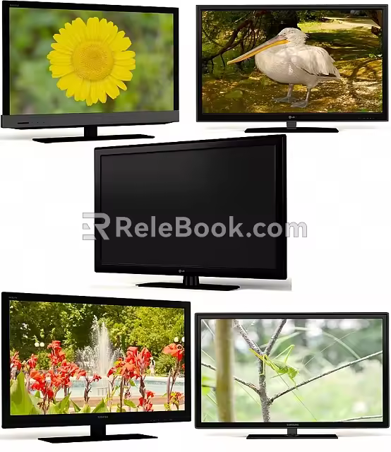 Display 3d model
