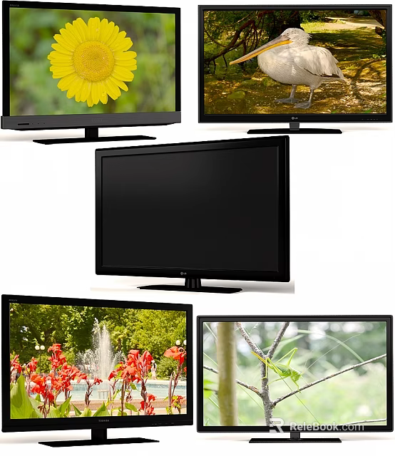 LG Black Computer Monitor And Three Displays Showing Flower Bird Plant 3d model 