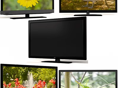 LG Black Computer Monitor And Three Displays Showing Flower Bird Plant 3d model
