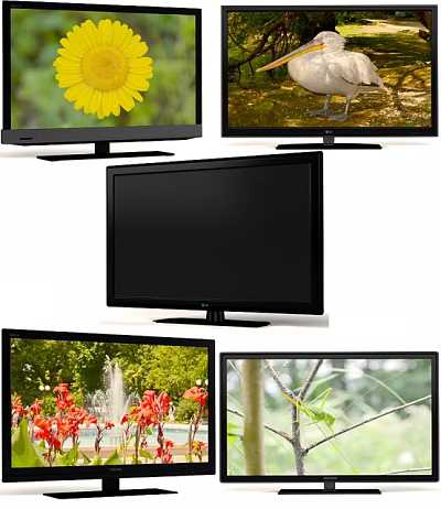 LG Black Computer Monitor And Three Displays Showing Flower Bird Plant 3d model