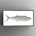 Blue And White Shark Watercolor Animal Painting In Black Frame Wall Art