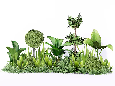 Variety of Green Plants Including Round Shrubs Large Leafy Herbs and Lush Garden Landscaping 3d model