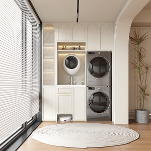 French Balcony Cabinet Laundry Cabinet Washing Machine Floor-to-Floor Window Wooden Floor 3d model